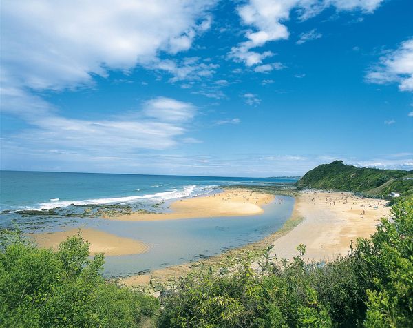 Hoe meer je boekt, hoe minder je betaalt