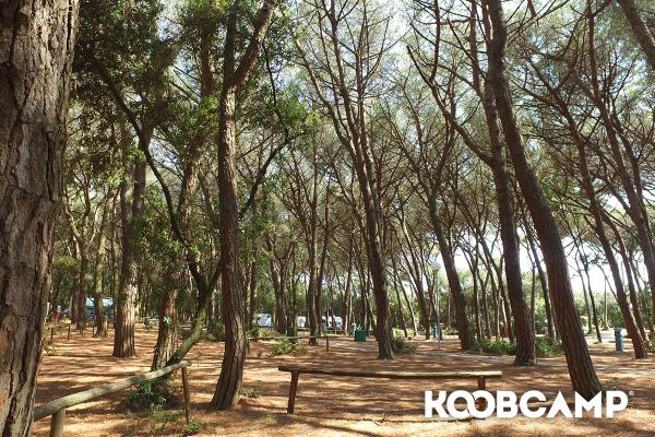 Easter Surprise? Your vacation at 15% off