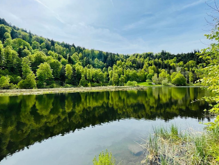 getrnkehalter fr campingstuhl Campingstuhl, faltbar, inkl. Getrnkehalter  CampFeuer