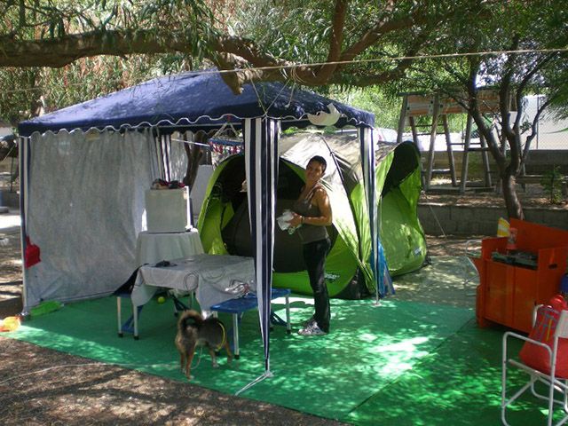 david jungle camp Settlements main image 0
