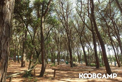 Easter Surprise? Your vacation at 15% off