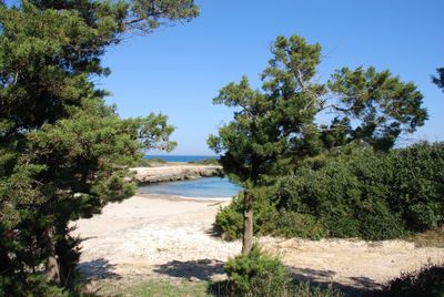 Offerta notti omaggio