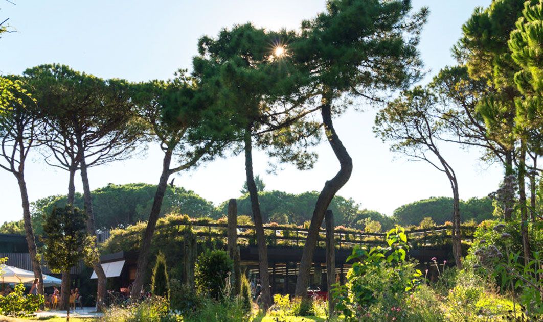 Camping Ca' Savio