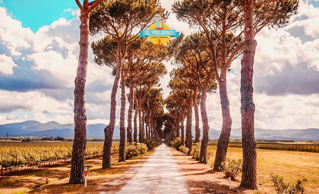 Camping Parco Vacanze Il Veliero
