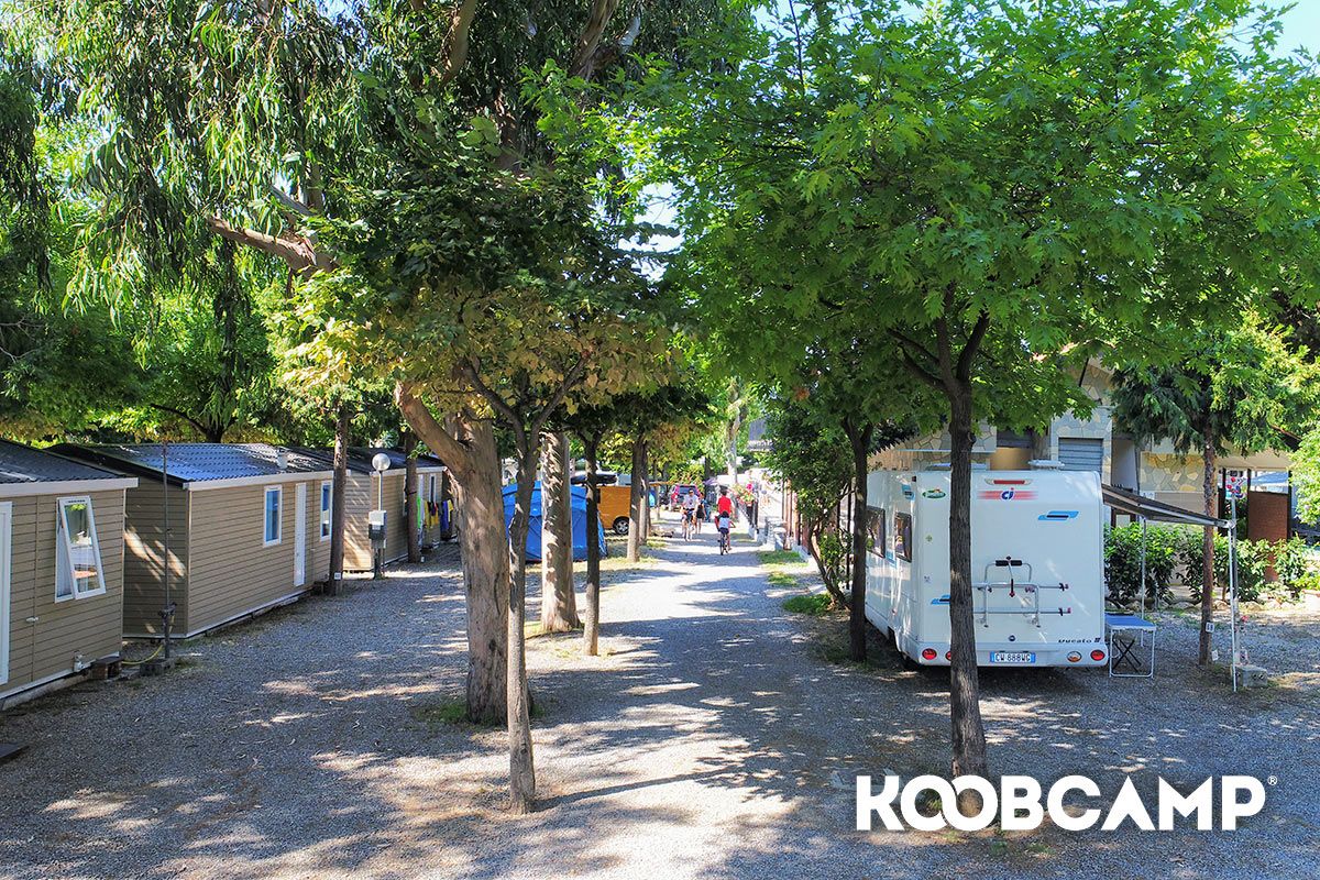 Camping Baciccia Ceriale, Camping Liguria, Savona, image size:1200x800