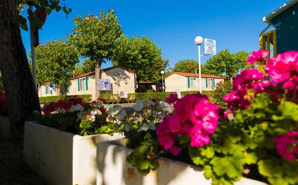 Villaggio Turistico Camping Summerland