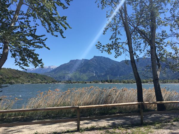 Pet friendly vacation between lake and nature