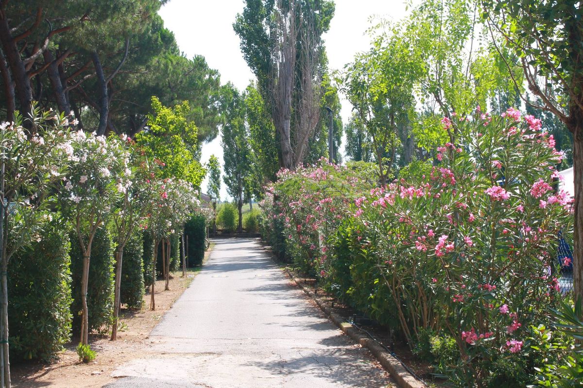 Village Club Costa d'Argento