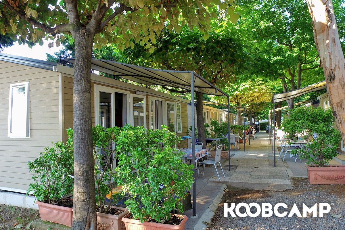 Camping Baciccia Ceriale, Camping Liguria, Savona, image size:1200x800