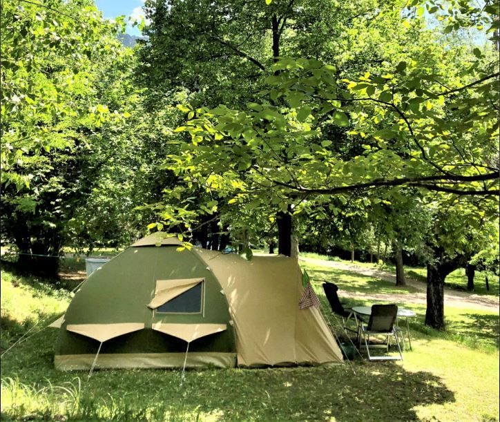 120 grow tent Secret Jardin 4' x 10' Intense VW California T7 offering a wide range Snowboardhandschuhe online kaufen – Size:8'X16'