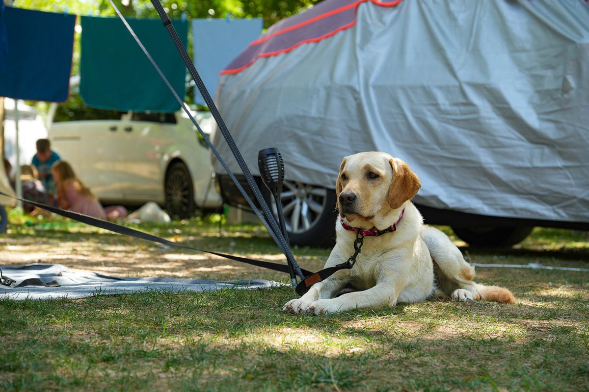 Union Lido Mare Cavallino-Treporti, Camping Veneto, Venice